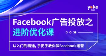 Facebook 在跨境電商中的應(yīng)用實(shí)戰(zhàn) 從引流到轉(zhuǎn)化的全平臺(tái)運(yùn)營(yíng)策略